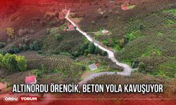 Altınordu Örencik, Beton Yola Kavuşuyor