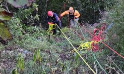 Artvin'de otomobilin uçuruma yuvarlandığı kazada 1 kişi hayatını kaybetti