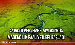 Aybastı Perşembe Yaylası’nda Madencilik Faaliyetleri Başladı