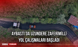 Aybastı’da Uzundere Zaferimilli Yol Çalışmaları Başladı