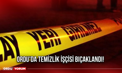 Ordu'da Temizlik İşçisi Bıçaklandı!