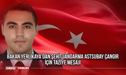 Bakan Yerlikaya'dan Şehit Jandarma Astsubay Çangır İçin Taziye Mesajı