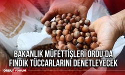 Bakanlık Müfettişleri Ordu’da Fındık Tüccarlarını Denetleyecek