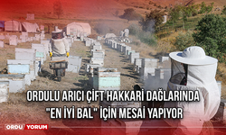 Ordulu arıcı çift Hakkari dağlarında "en iyi bal" için mesai yapıyor