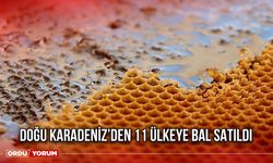 Doğu Karadeniz’den 11 Ülkeye Bal Satıldı