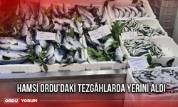 Hamsi Ordu’daki Tezgâhlarda Yerini Aldı