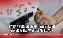 Başına yorgun mermi isabet eden Şeker'in tedavisi devam ediyor