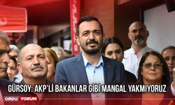 Gürsoy: AKP’li Bakanlar Gibi Mangal Yakmıyoruz