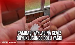 Çambaşı yaylasına Ceviz Büyüklüğünde Dolu Yağdı