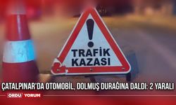 Çatalpınar'da otomobil, dolmuş durağına daldı: 2 yaralı