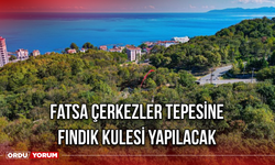 Fatsa Çerkezler Tepesine Fındık Kulesi Yapılacak