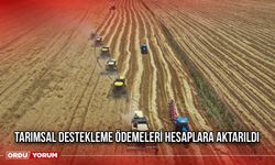 Tarımsal Destekleme Ödemeleri Hesaplara Aktarıldı