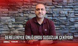 Dereleriyle ünlü Ordu susuzluk çekiyor!