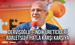 Dervişoğlu: Fındık Üreticileri Adaletsiz Fiyatla Karşı Karşıya