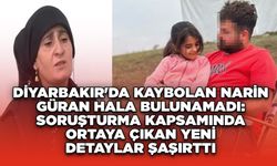 Diyarbakır'da Kaybolan Narin Güran Hala Bulunamadı: Soruşturma Kapsamında Ortaya Çıkan Yeni Detaylar Şaşırttı