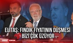 Elitaş: Fındık Fiyatının Düşmesi Bizi Çok Üzüyor