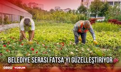 Belediye Serası Fatsa’yı Güzelleştiriyor