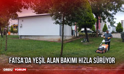 Fatsa'da Yeşil Alan Bakımı Hızla Sürüyor