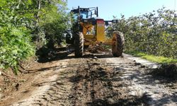 Fatsa’da Yol Çalışmaları Devam Ediyor