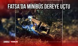 Fatsa'da minibüs dereye uçtu