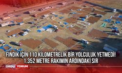 Fındık İçin 110 Kilometrelik Bir Yolculuk Yetmedi! 1.352 Metre Rakımın Ardındaki Sır