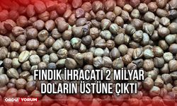 Fındık İhracatı 2 Milyar Doların üstüne Çıktı