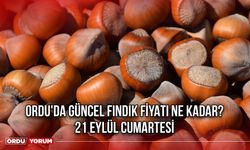 Ordu'da Güncel Fındık Fiyatı Ne Kadar? 21 Eylül Cumartesi