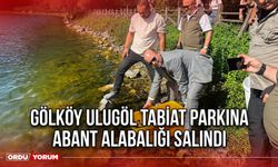 Gölköy Ulugöl Tabiat Parkına Abant Alabalığı Salındı