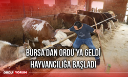 Bursa’dan Ordu’ya Geldi Hayvancılığa Başladı