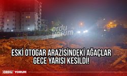 Eski Otogar Arazisindeki Ağaçlar Gece Yarısı Kesildi