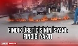 Fındık Üreticisinin isyanı: Fındığı Yaktı