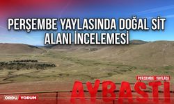 Perşembe Yaylasında Doğal Sit Alanı İncelemesi