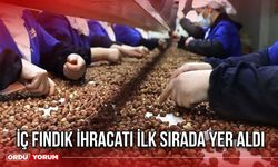 İç Fındık İhracatı İlk Sırada Yer Aldı