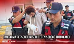 Jandarma Personelini Şehit Eden Sürücü Tutuklandı