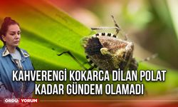 Kahverengi Kokarca Dilan Polat Kadar Gündem Olamadı