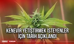 Kenevir Yetiştirmek isteyenler İçin Tarih Açıklandı