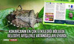 Kokarcanın en çok etkilediği bölgede belediye afişlerle vatandaşları uyardı