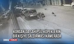 Korgan'da sahipsiz köpeklerin bir kişiye saldırması kamerada