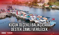 Küçük Ölçekli Balıkçılara Destek Zamlı Verilecek