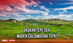 Başkan Tepe’den Maden Çalışmasına Tepki