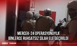 MERCEK-24 Operasyonuyla Binlerce Ruhsatsız Silah Ele Geçirildi