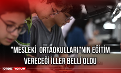 Türkiye'nin ilk "mesleki ortaokulları"nın eğitim vereceği iller belli oldu