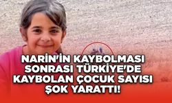 Narin'in Kaybolması Sonrası Türkiye'de Kaybolan Çocuk Sayısı Şok Yarattı!