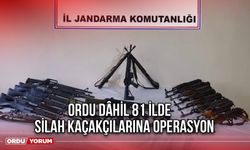 Ordu Dâhil 81 İlde Silah Kaçakçılarına Operasyon