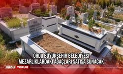 Ordu Büyükşehir Belediyesi Mezarlıklardaki Ağaçları Satışa Sunacak