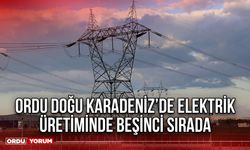 Ordu Doğu Karadeniz’de Elektrik Üretiminde Beşinci Sırada