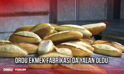 Ordu Ekmek Fabrikası Da Yalan Oldu