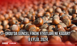 Ordu'da güncel fındık fiyatları ne kadar? 8 Eylül 2024