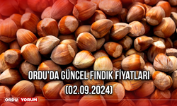 Ordu’da Güncel Fındık Fiyatları (02.09.2024)