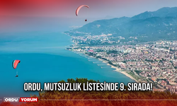 Ordu, Mutsuzluk Listesinde 9. Sırada!